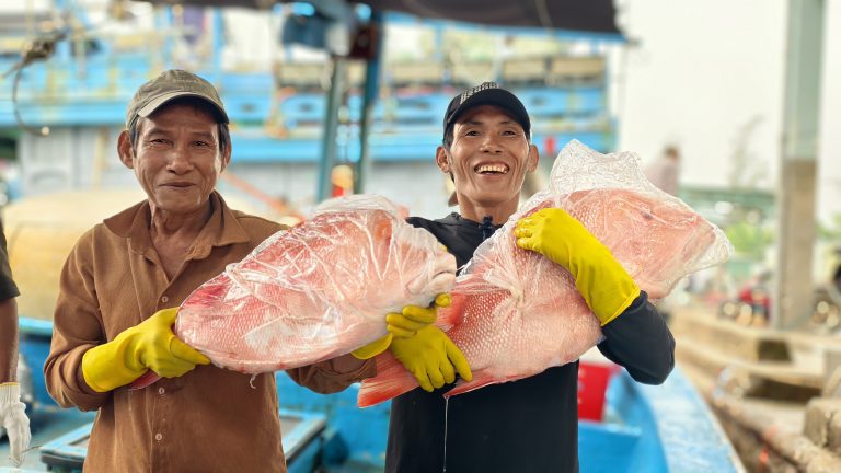 Hạnh phúc ngày cập bến