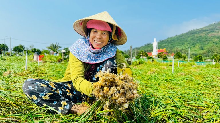 Nụ cười mùa tỏi