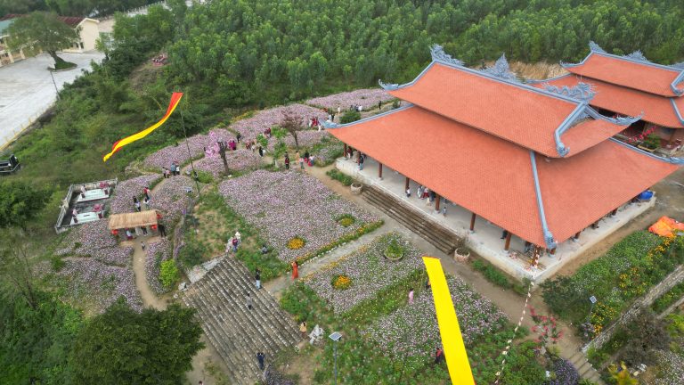 Sắc xuân bên chùa Thanh Sơn