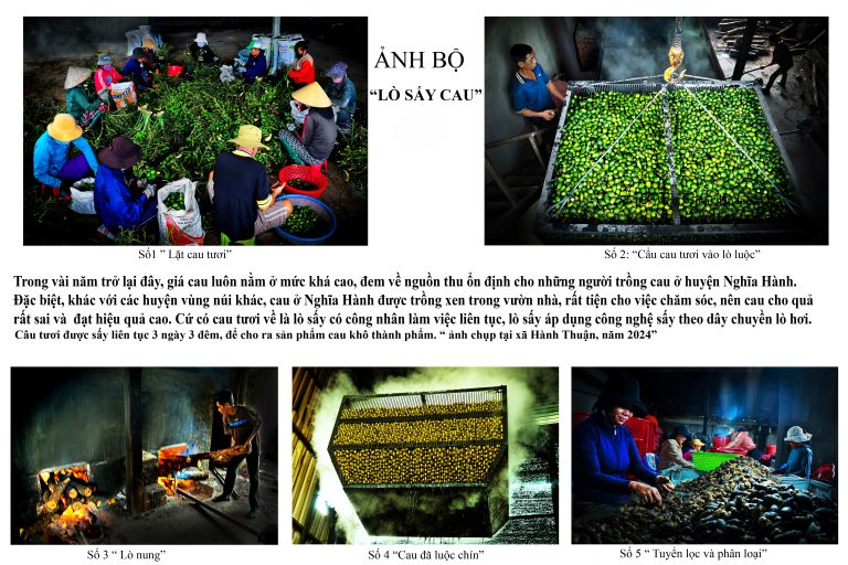 Lò sấy cau tươi