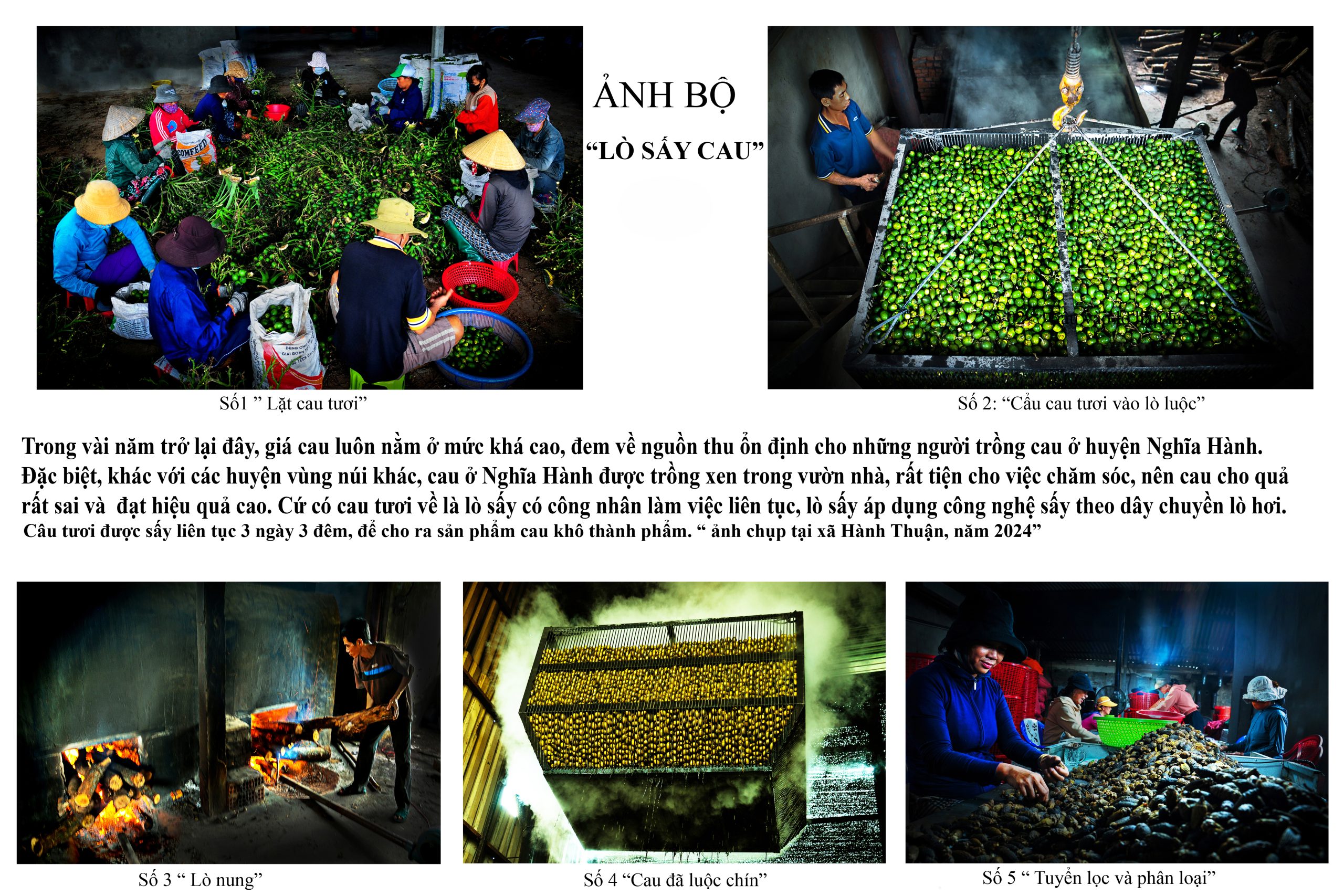 Lò sấy cau tươi