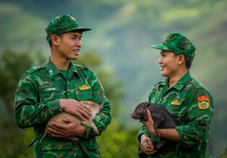 TÌNH ĐỒNG CHÍ