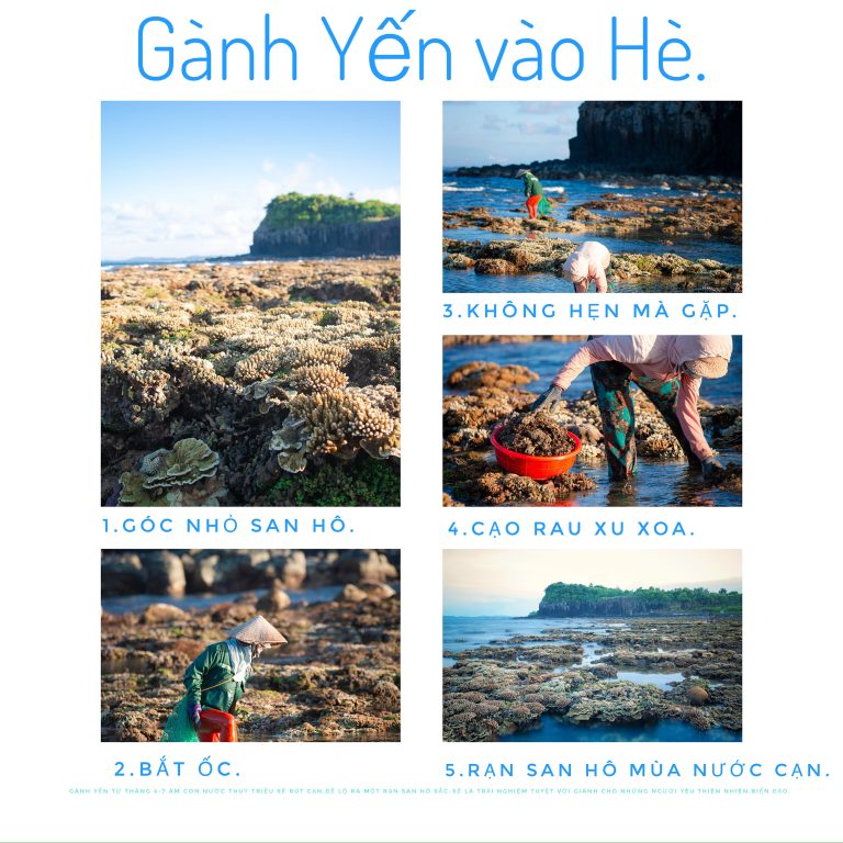 Gành Yến vào Hè.