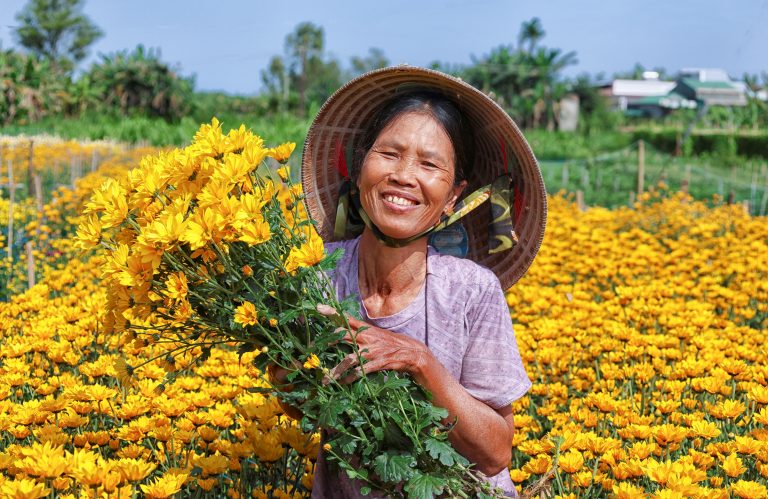 Nụ cười hạnh phúc của bà Kiều Thị Ngọc bên những luống cúc Đà Lạt vàng rực.