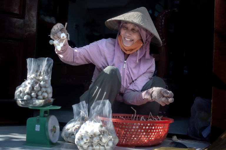 Được mùa Tỏi