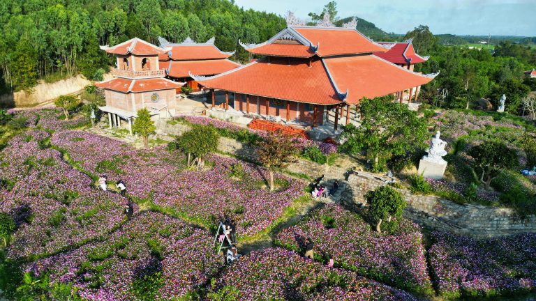 Sắc Xuân Thanh Sơn 2026