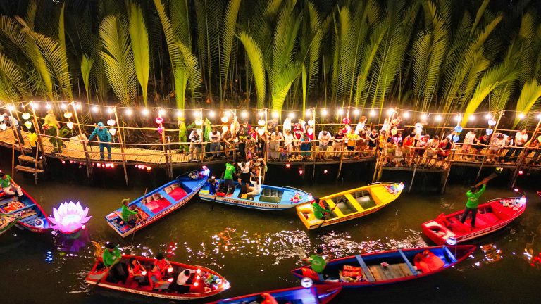 Ánh đèn giữa rừng dừa
