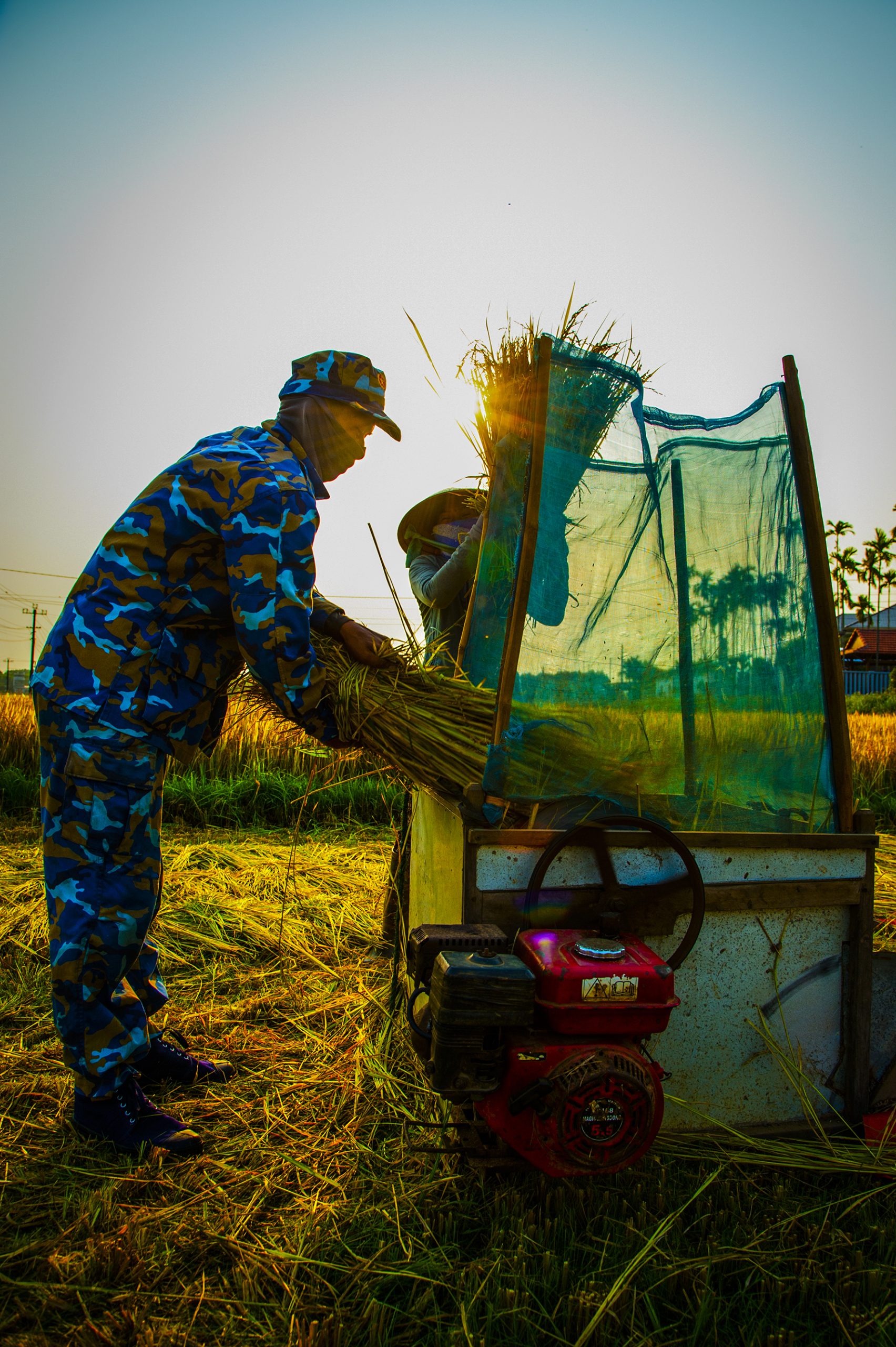 Giúp mẹ