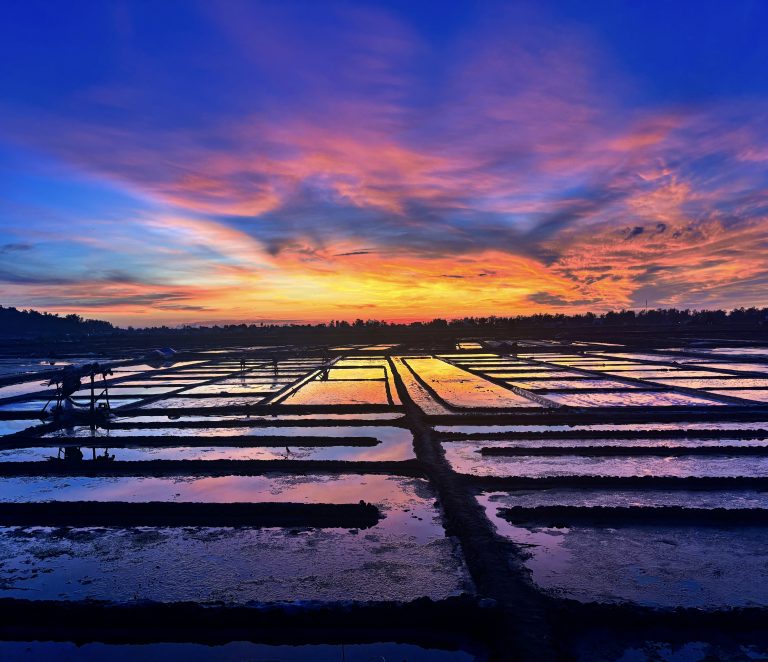 Bình minh trên đồng muối Sa Huỳnh