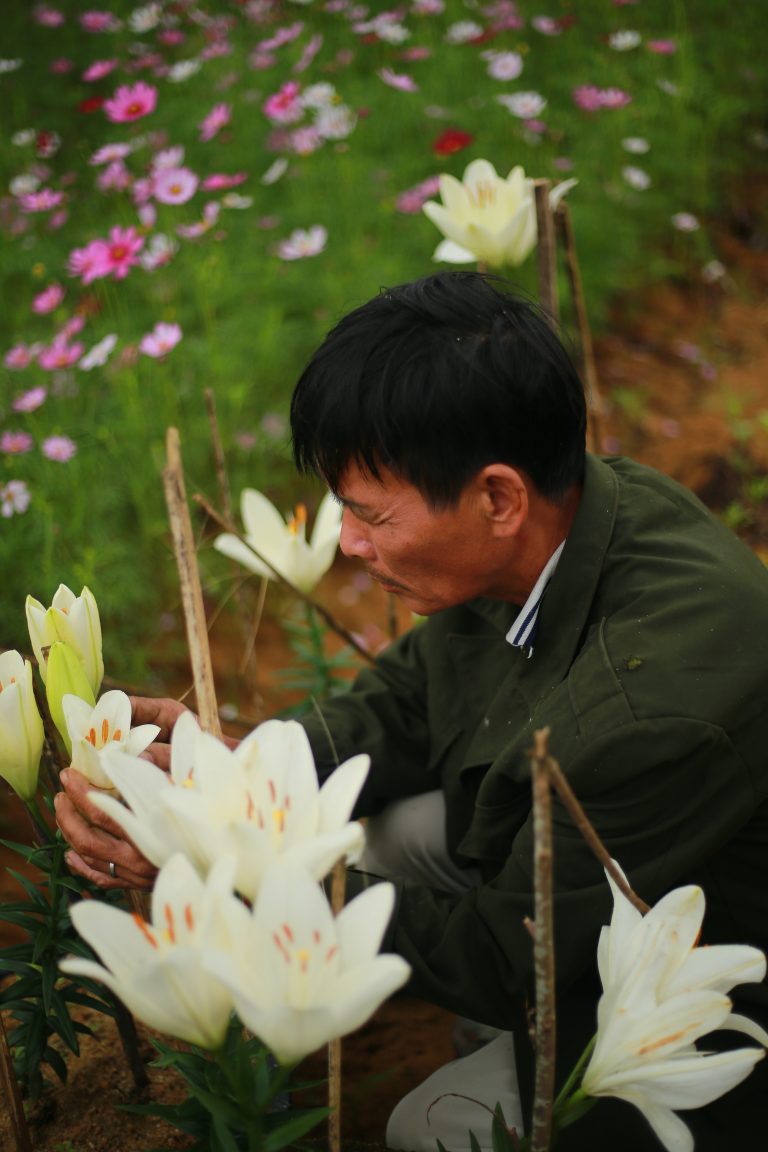 mùa hoa của bố
