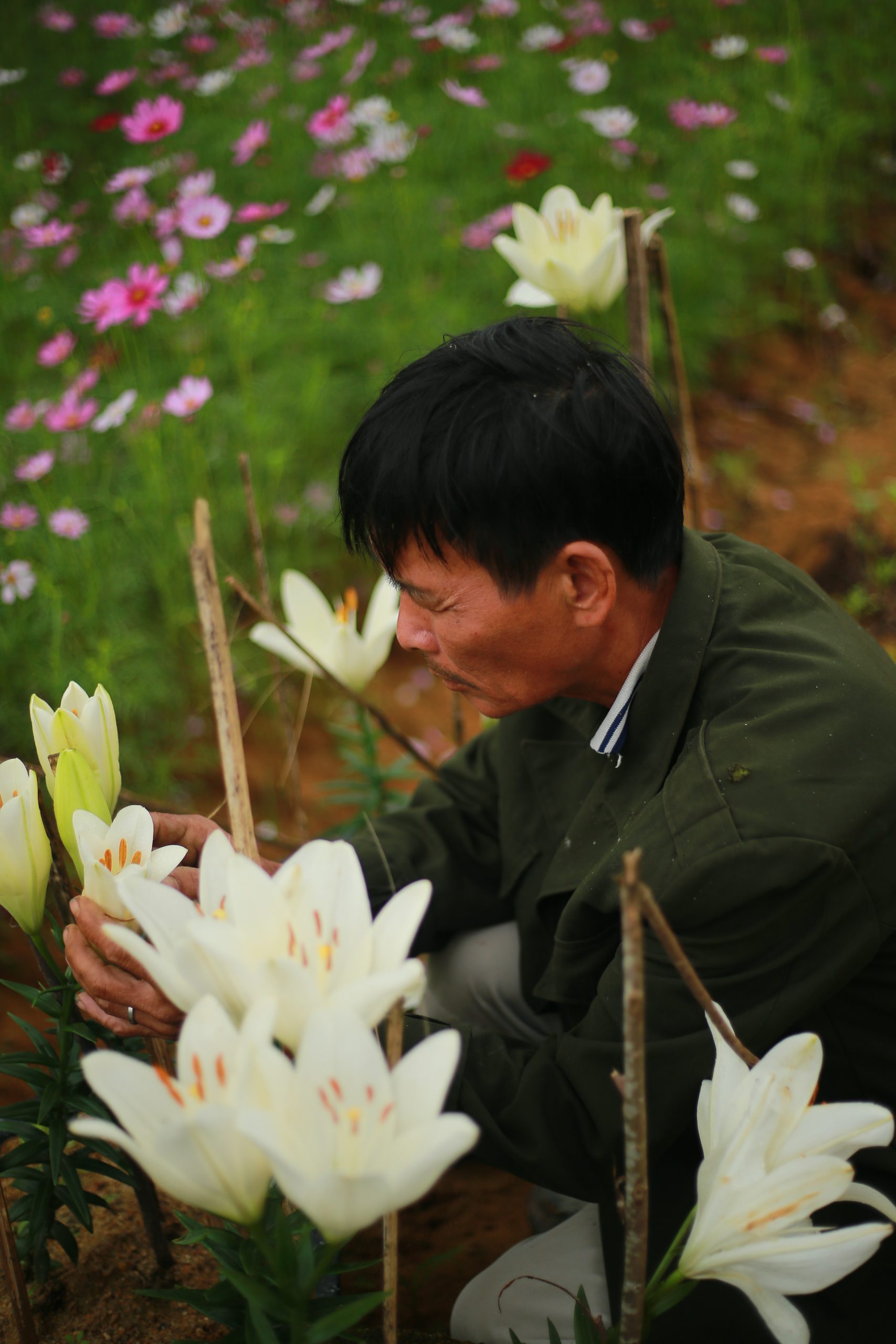 mùa hoa của bố