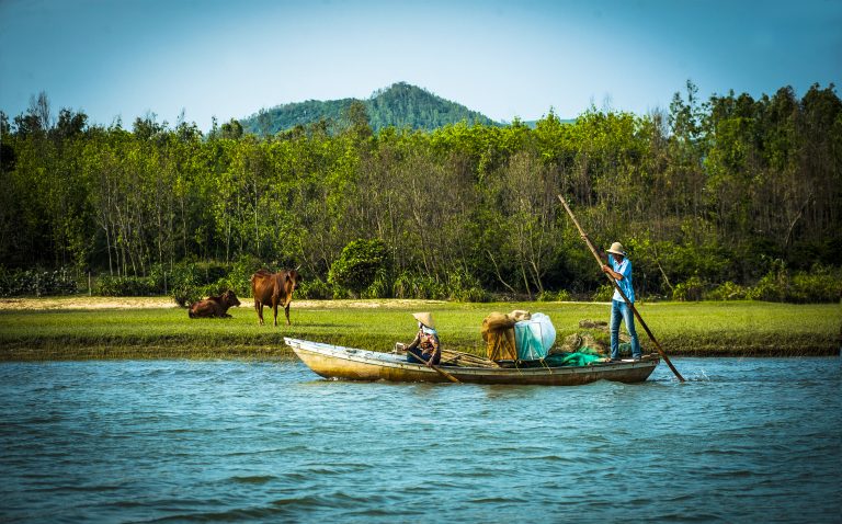 Đồng vợ đồng chồng
