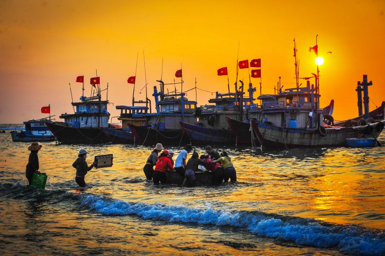 Ngày mới bắt đầu