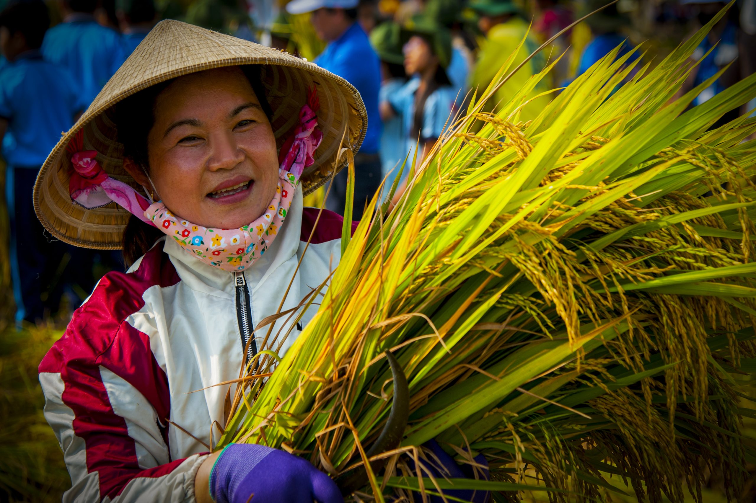 Niềm vui