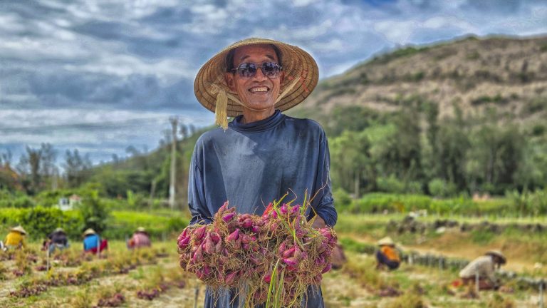 Nụ cười vui nhộn của người nông dân Lý Sơn bên những bó hành tím vừa thu hoạch.