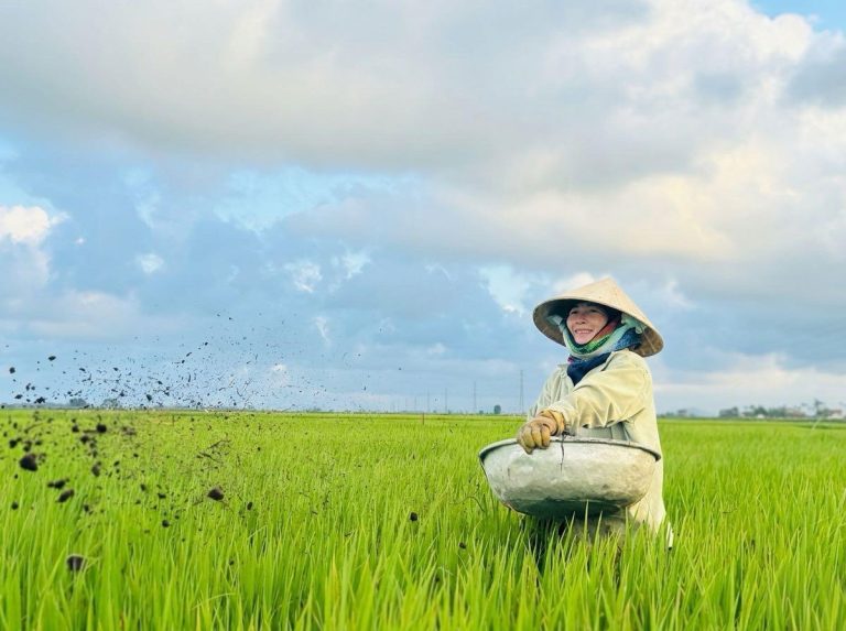 Nụ cười của mẹ