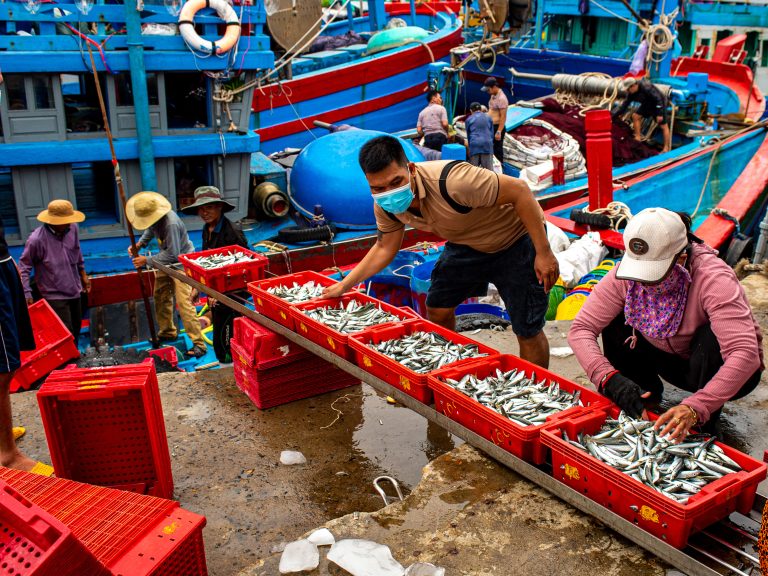 Cá về