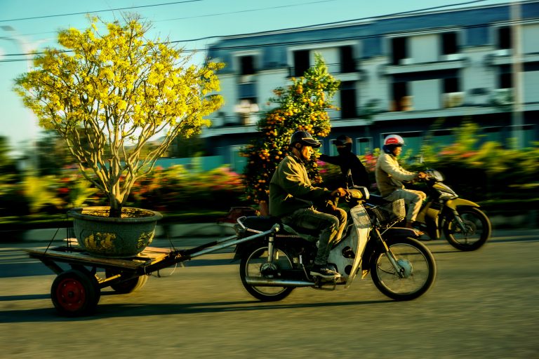 Rước xuân về nhà