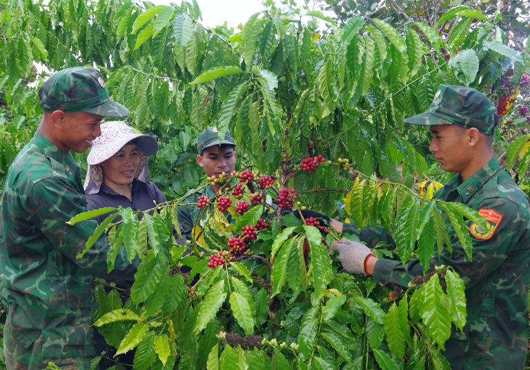 ĐỒNG HÀNH CÙNG MÙA THU HOẠCH