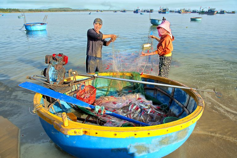Biển sớm