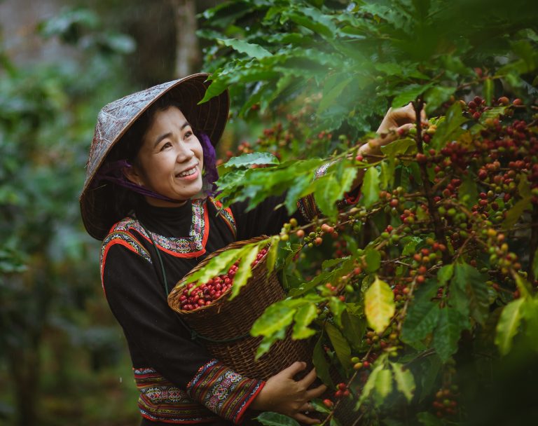 Niềm Vui Được Mùa