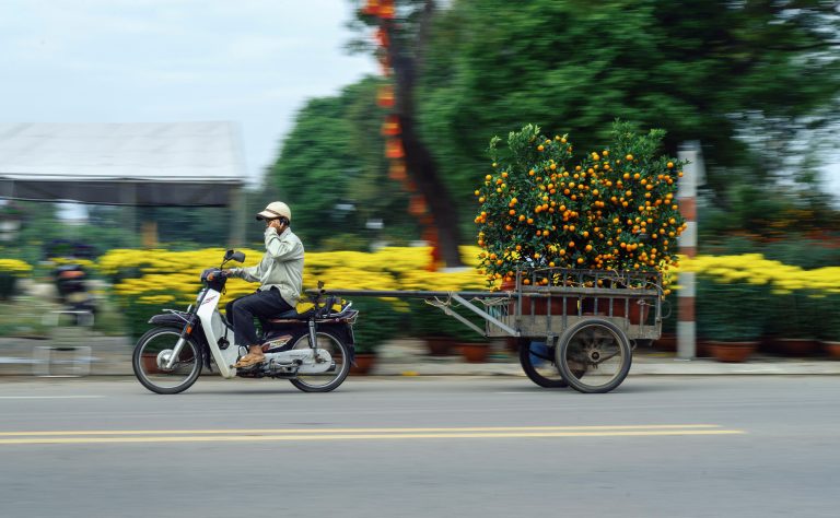 Chở Xuân về phố