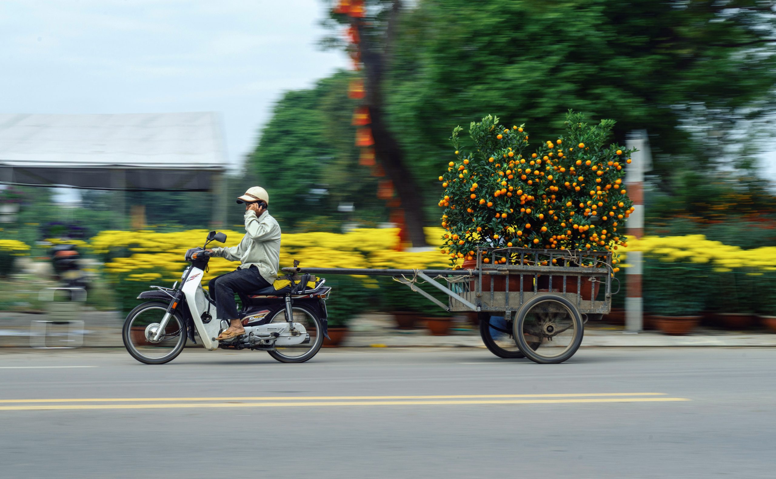 Chở Xuân về phố