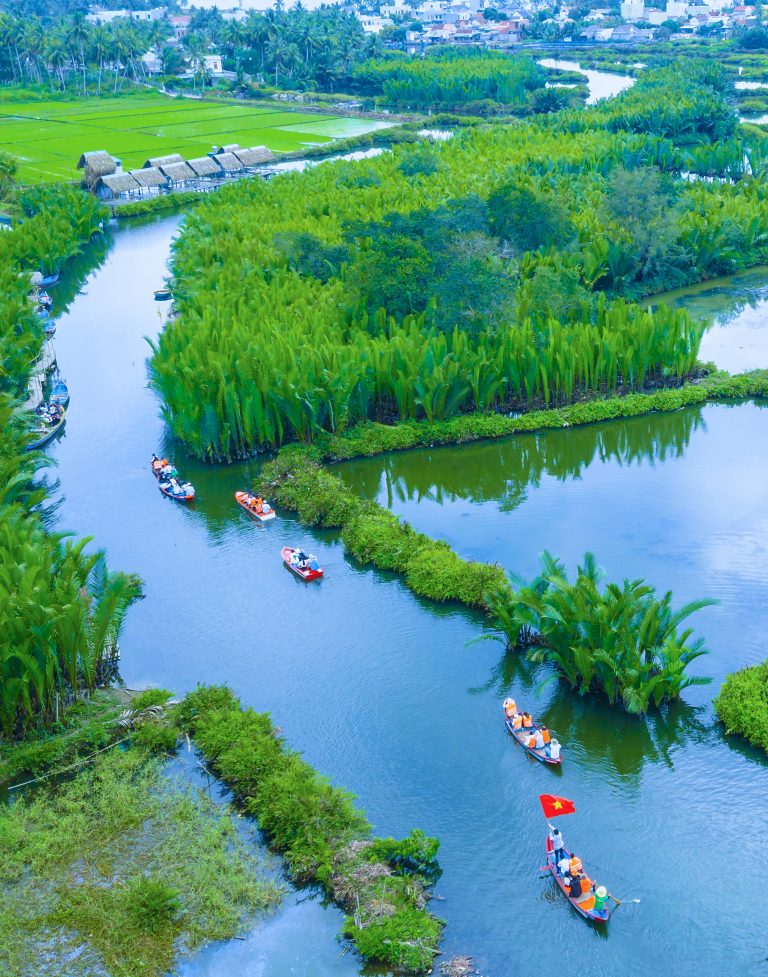 Du lịch rừng dừa nước Tịnh Khê