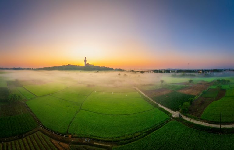 Đất lành