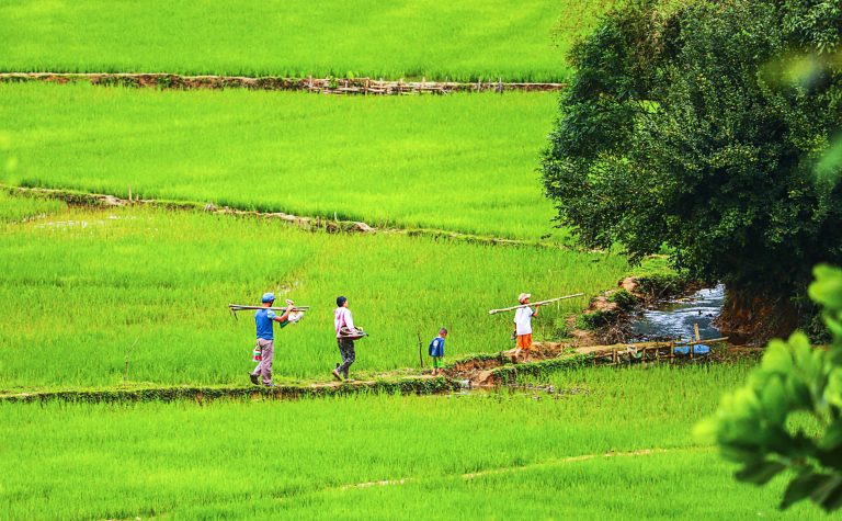 Hạnh phúc đơn sơ