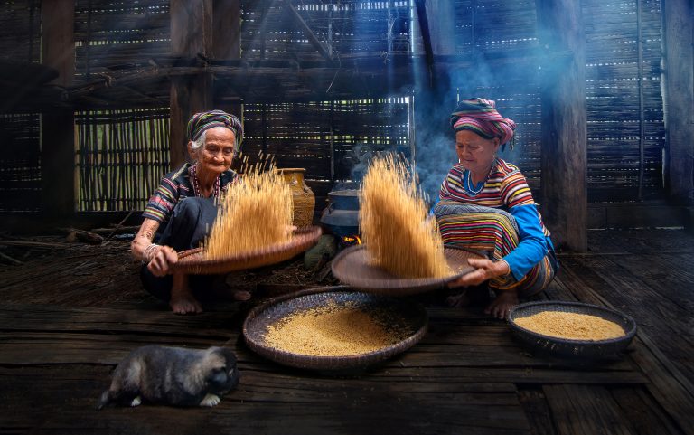 Hương lúa mới
