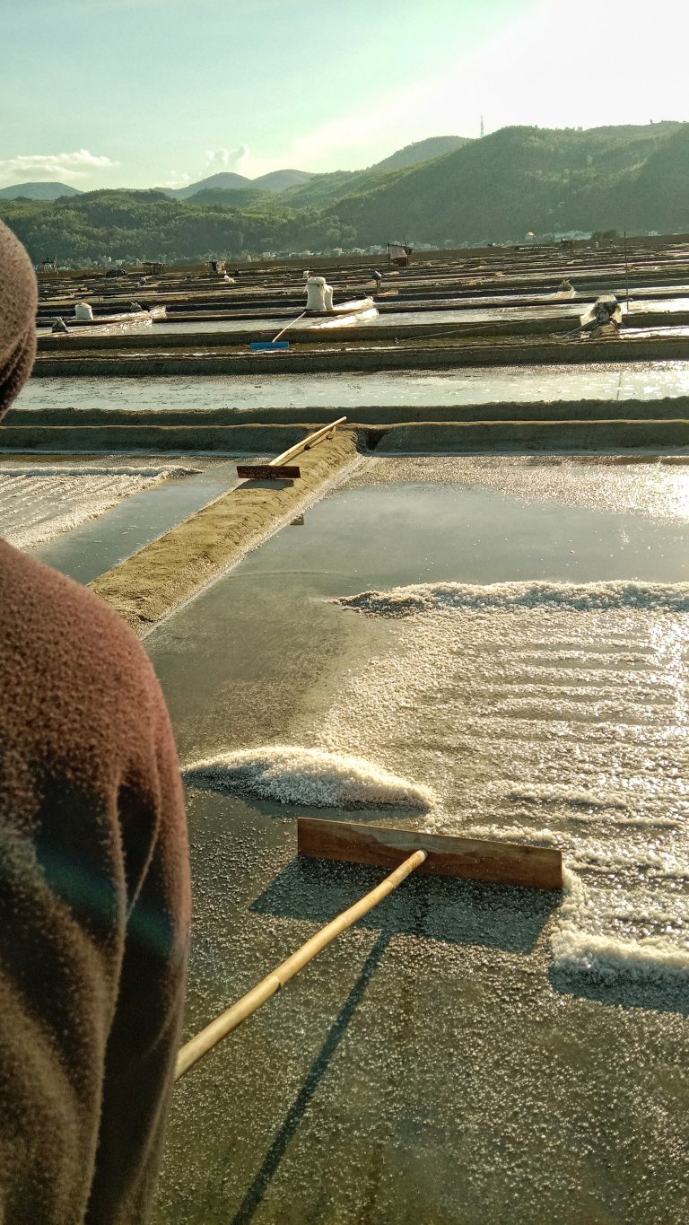 Vai muối