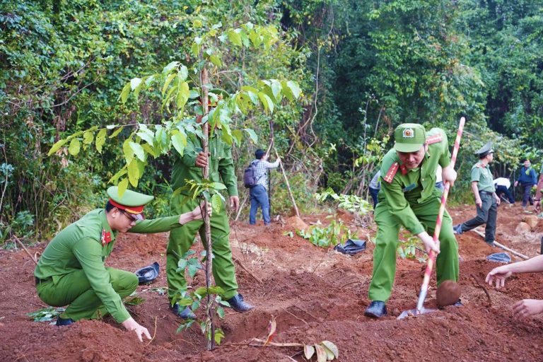 Mỗi cây xanh – Một hành động vì môi trường