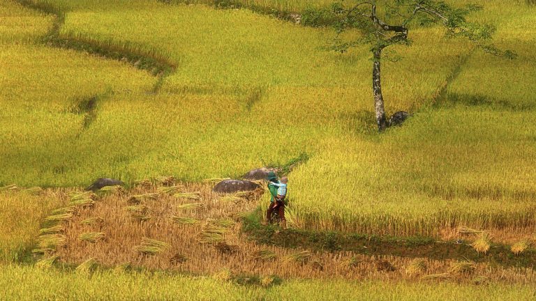 Khoảnh khắc yêu thương