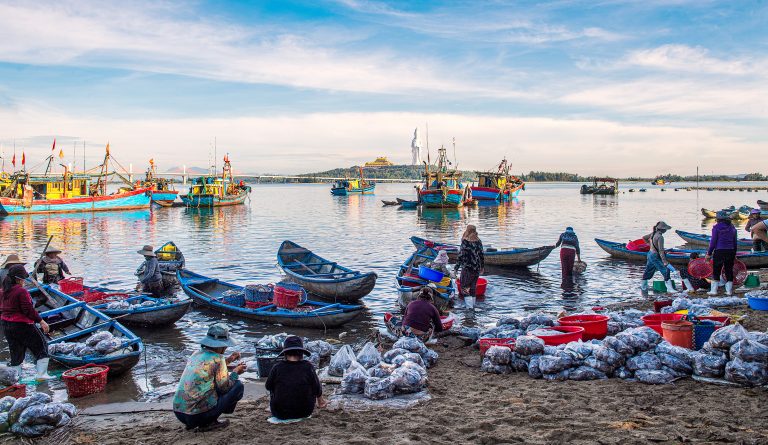 Nhộn nhịp bến cá An Phú