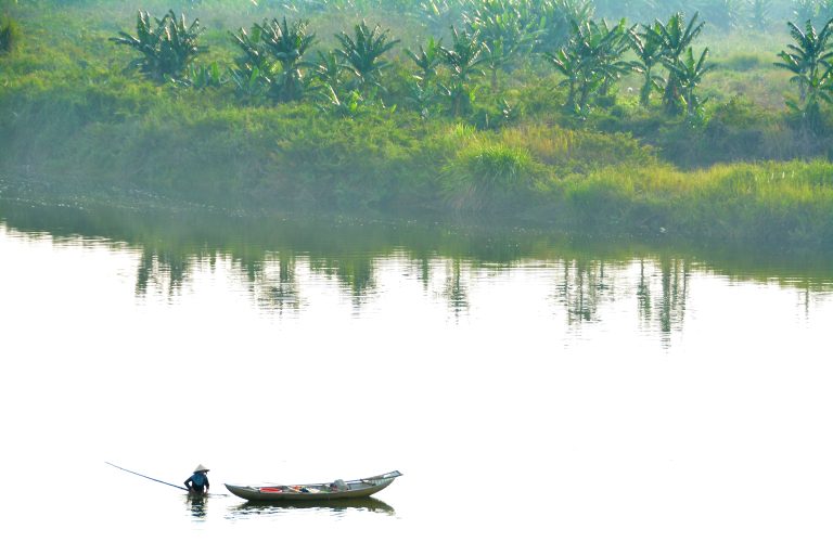 Nhủi hến