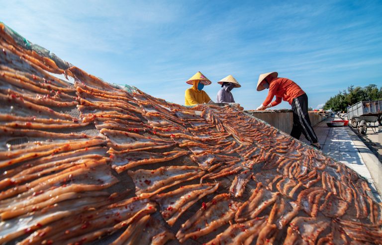 Phơi cá tẩm ướp gia vị