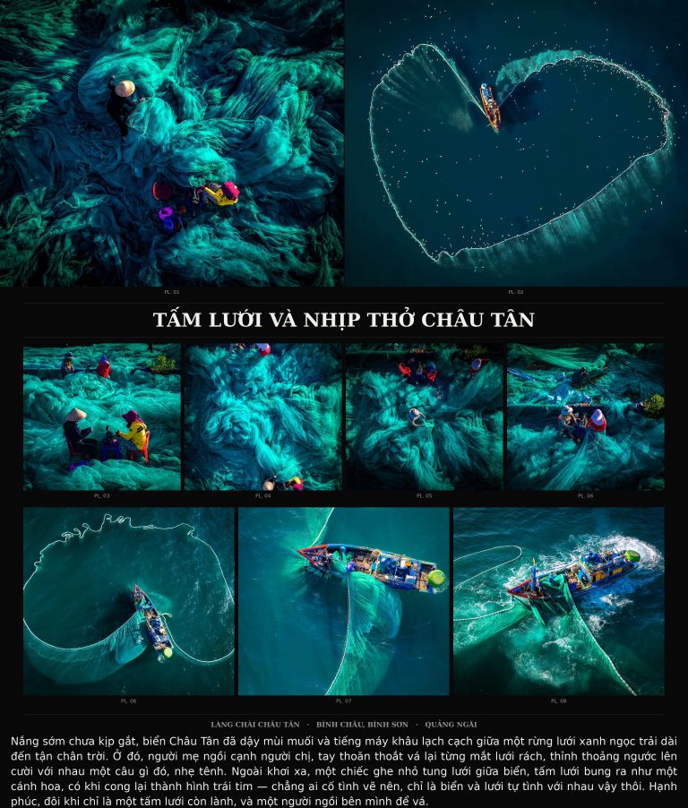 Tấm lưới và nhịp thở Châu Tân