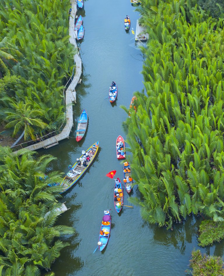 Trong rừng dừa quê hương