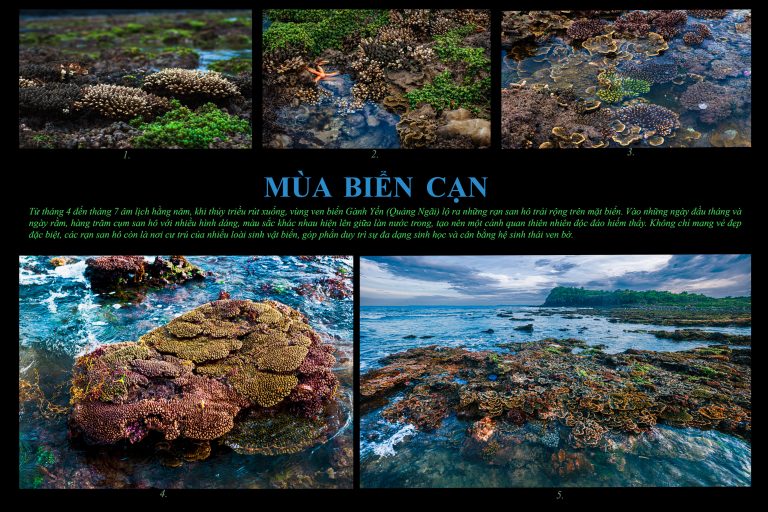 Mùa biển cạn