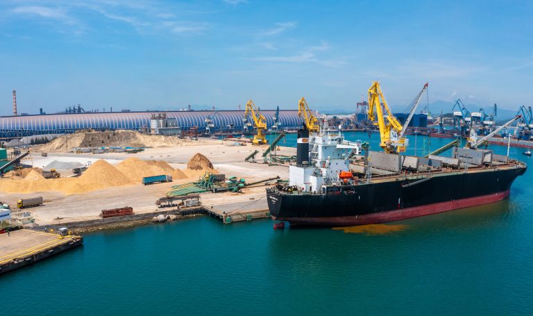 Xuất khẩu gỗ dăm ở cảng Hào Hưng (Dung Quất)