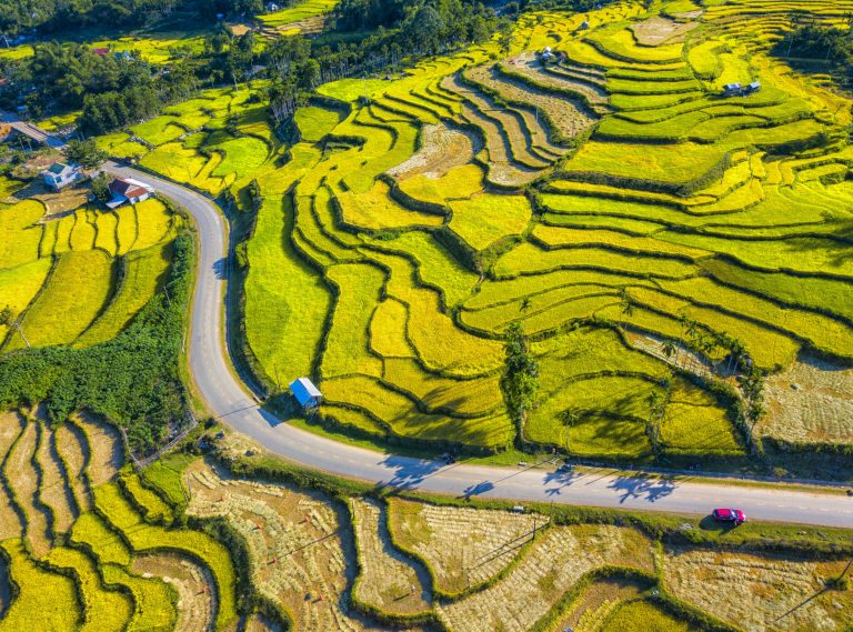 Ruộng bậc thang xứ Quảng